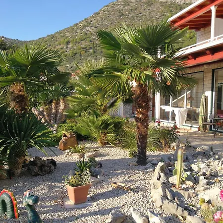 Affittacamere Sunny House Free Parking Trsteno