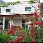 Sunny House Free Parking 3*