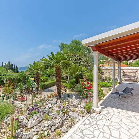 Sunny House Free Parking Pensionat