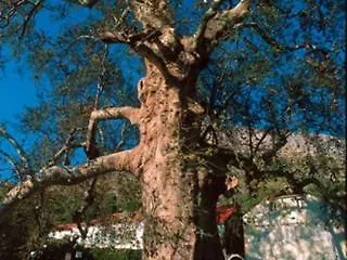 Pensionat Sunny House Free Parking