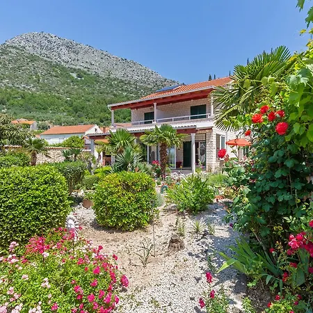 Sunny House Free Parking Pensionat Trsjteno