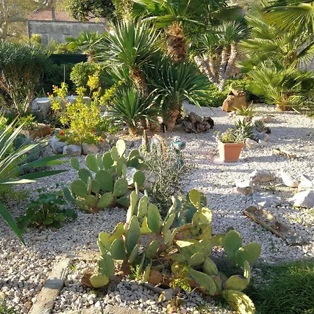 Pensionat Sunny House Free Parking 3*